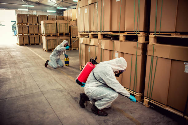 Best Mosquito Control Services  in North Windham, ME