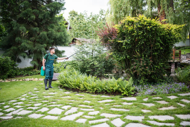 Professional Pest Control in North Windham, ME