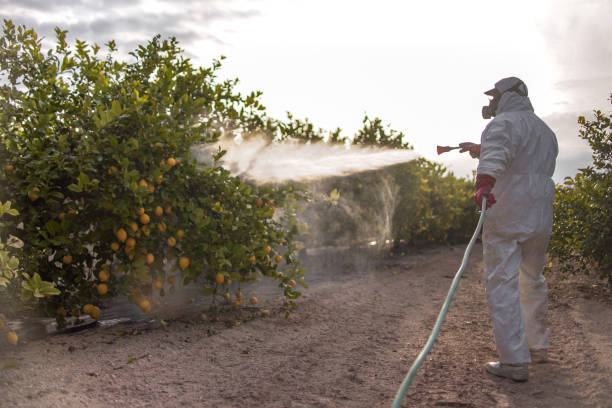 Best Cockroach Control Services  in North Windham, ME