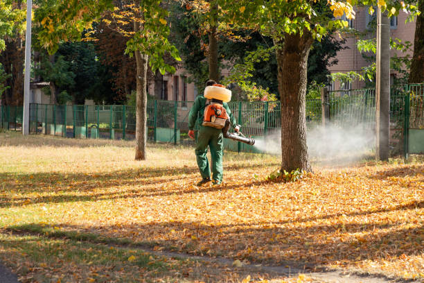 Best Flea Control Services  in North Windham, ME
